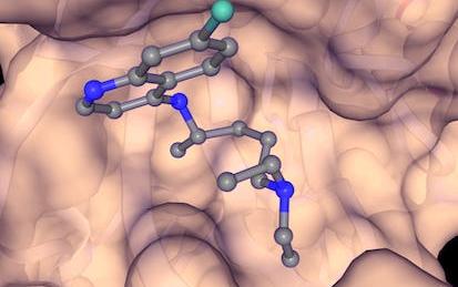 SARS-CoV-2 Protein Modeling and Drug Docking