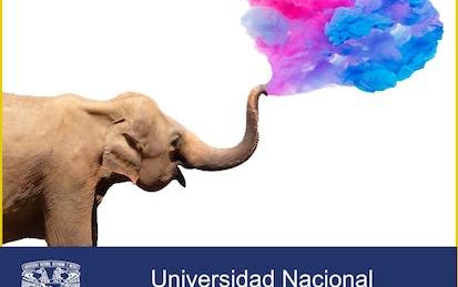 Ser más creativos