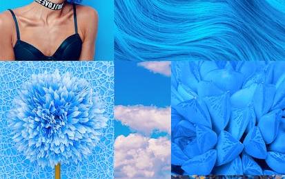 Créer un Moodboard pour votre marque avec Canva