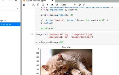 Custom Prediction Routine on Google AI Platform