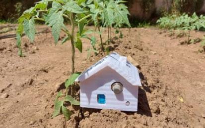 School gardens for future citizens