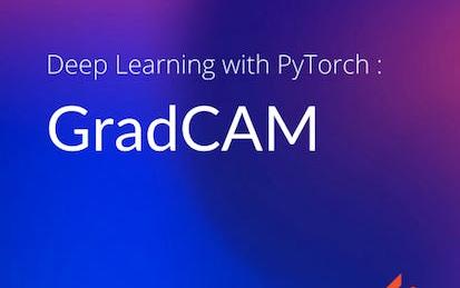Deep Learning with PyTorch : GradCAM