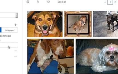 AutoML for Computer Vision with Microsoft Custom Vision