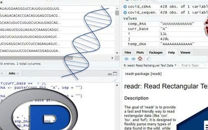Reverse and complement nucleic acid sequences (DNA, RNA) using R