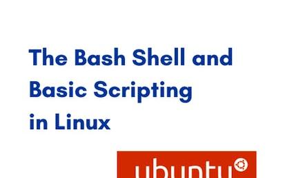 The Bash Shell and Basic Scripting in Linux