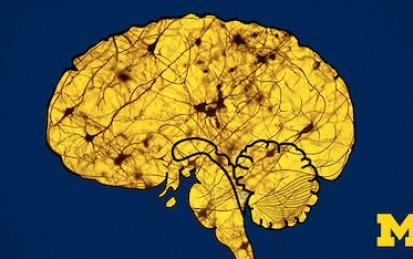 Sleep: Neurobiology, Medicine, and Society