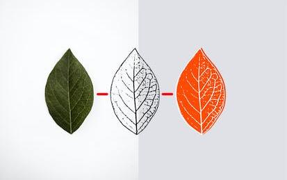 Make Any Image into a Vector Graphic with Inkscape