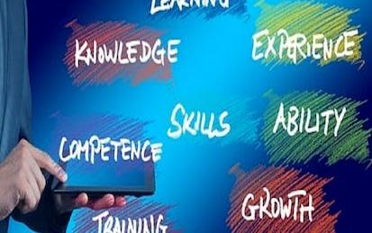 Establish Company Training Initiatives with Canvas