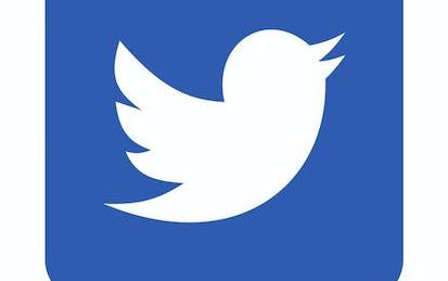 Avoir plus d’abonnés sur Twitter en publiant un vidéo tweet