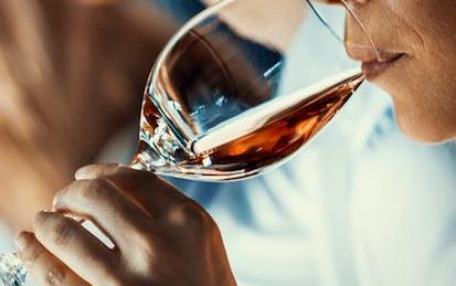 Wine Tasting: Sensory Techniques for Wine Analysis