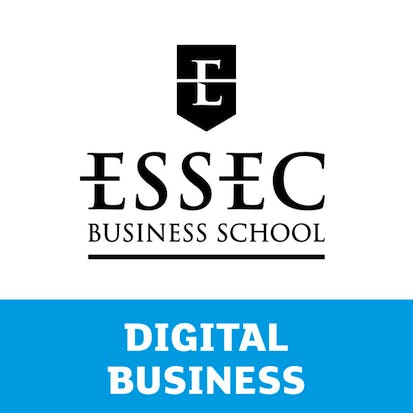 Strategic Business Analytics
