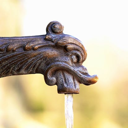 Water: an essential resource